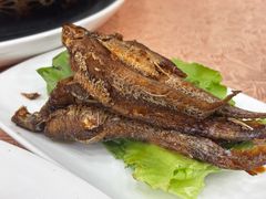 -瑞福园联谊餐室(茂名南路店)