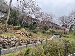 -芳草地度假酒店·野炉中餐厅