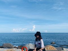 -广东惠东海龟国家级自然保护区