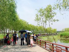 -绿堤公园