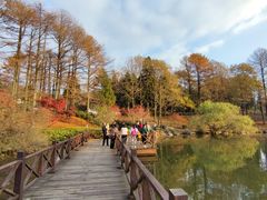 -四明山国家森林公园