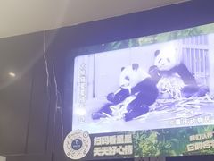 -眉州东坡(团结湖店)
