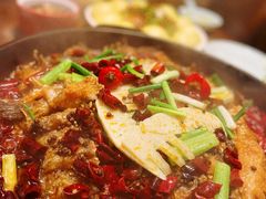 老板恋上鱼-老板恋上鱼(印象城店)