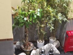 -先启半步颠·川菜小炒