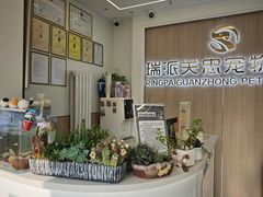 -瑞派·关忠动物医院·猫专科·犬专科(三环新城店)