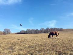 -塞罕坝国家级自然保护区