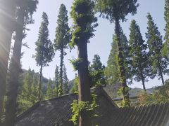 -崂山九水游览区