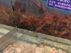 -遇上西雅图多融合海鲜自助餐厅(中房金谊广场店)