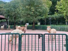 -无锡动物园·太湖欢乐园