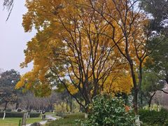 -太子山公园(园东路)