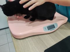 -荔康动物医院(康王北路店)