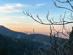 -佛慧山