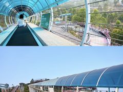 -盈香心动乐园