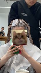 -蘑菇发型