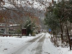 -抱龙峪