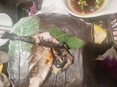 -古田居·特色寿司料理(星之岛旗舰店)