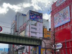 -秋叶原电器街