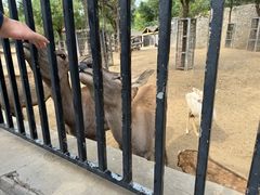 -石家庄市动物园