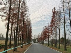 -广富林郊野公园