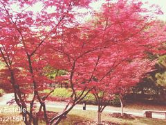 -江南大学(蠡湖校区)