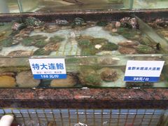 -新海利海鲜城·41年珠海老字号(夏湾店)