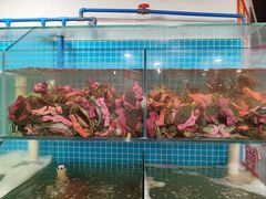 -辣螃铠盆盆蟹大排档(总店)