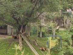 景点-重庆动物园