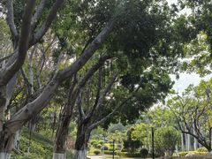 -五通灯塔公园