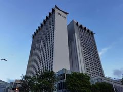 -新加坡乌节希尔顿酒店 (SG Clean)