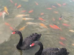 -河北省园博园