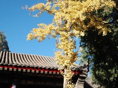 -西安市广仁寺