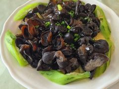 鸡汤浸术耳-暨南大学（石牌校区）明湖楼