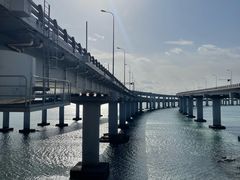 -星海湾跨海大桥