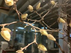 -鸢飞潍坊菜馆(鸢飞大酒店)