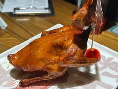 红烧鸽-大鸽饭(岗顶店)