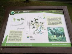 -南京市江宁方山