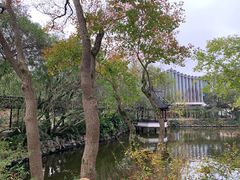 -上海醉白池公园