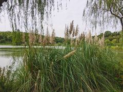 -宜兴龙背山森林公园