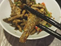 -壹盏灯(惠农店)