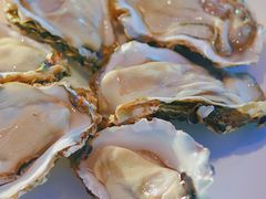 深海黄金蚝-千岛蚝高压锅生蚝·人参火锅(白云万达店)