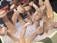-季季山•云南野生菌火锅(上海首店)