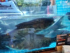 -浔味·山屿湖·正宗淳牌全鱼宴老字号