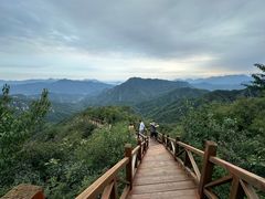 -大岭沟猕猴桃谷风景区
