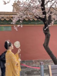 点击看大图 -美云庭古装·格格服汉服·京城旅拍(北京店)