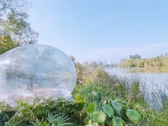 -Supine Bistro溯泮餐厅