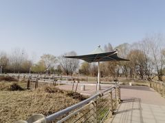 -西安浐灞国家湿地公园
