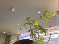 -芸山季·云南山珍菌火锅(南翔印象城MEGA店)