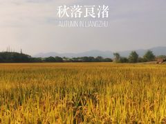 -良渚古城遗址公园