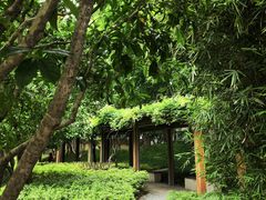 -徐家汇源景区-衡山公园