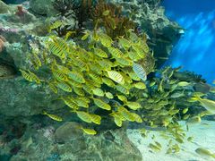 -海合安成都极地海洋公园